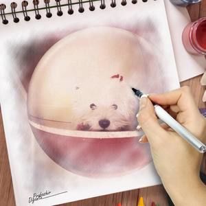 Meet your Posher, Catalina